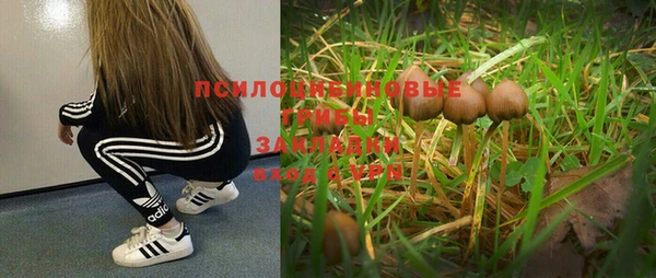 герыч Аркадак