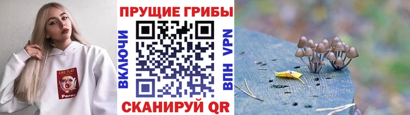 MEGA как войти  Ревда  Галлюциногенные грибы прущие грибы 